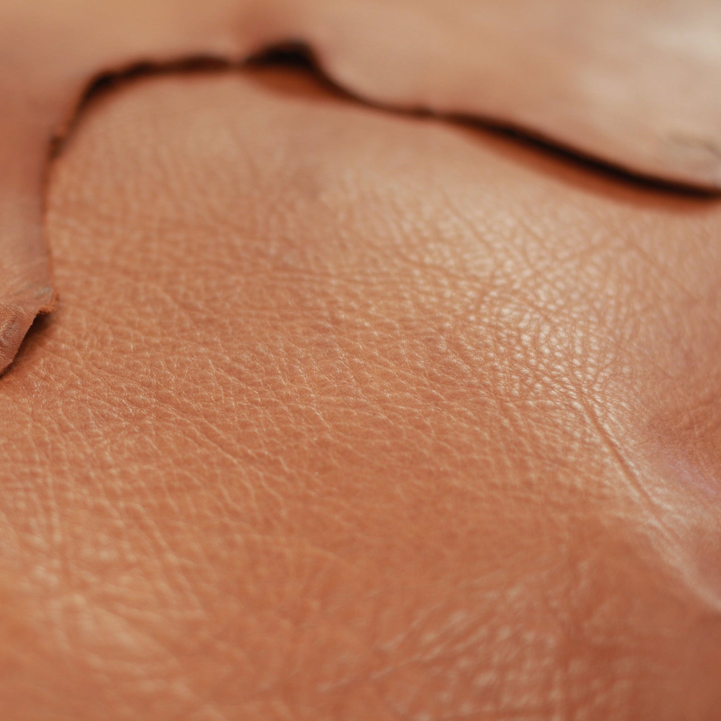 Tote Bag Tiry + Rio Strap in Caramel