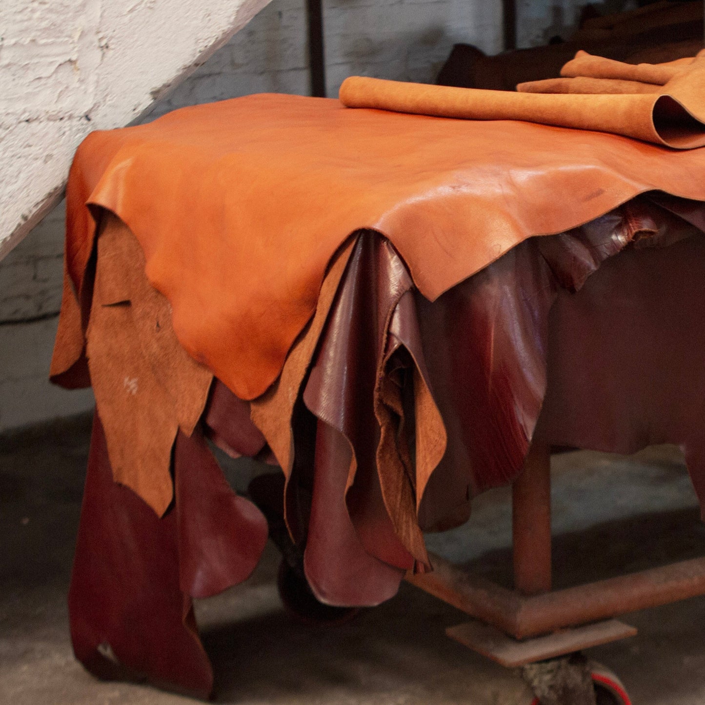 Correa de Cámara Argentina en Caramelo x ByFlorecer