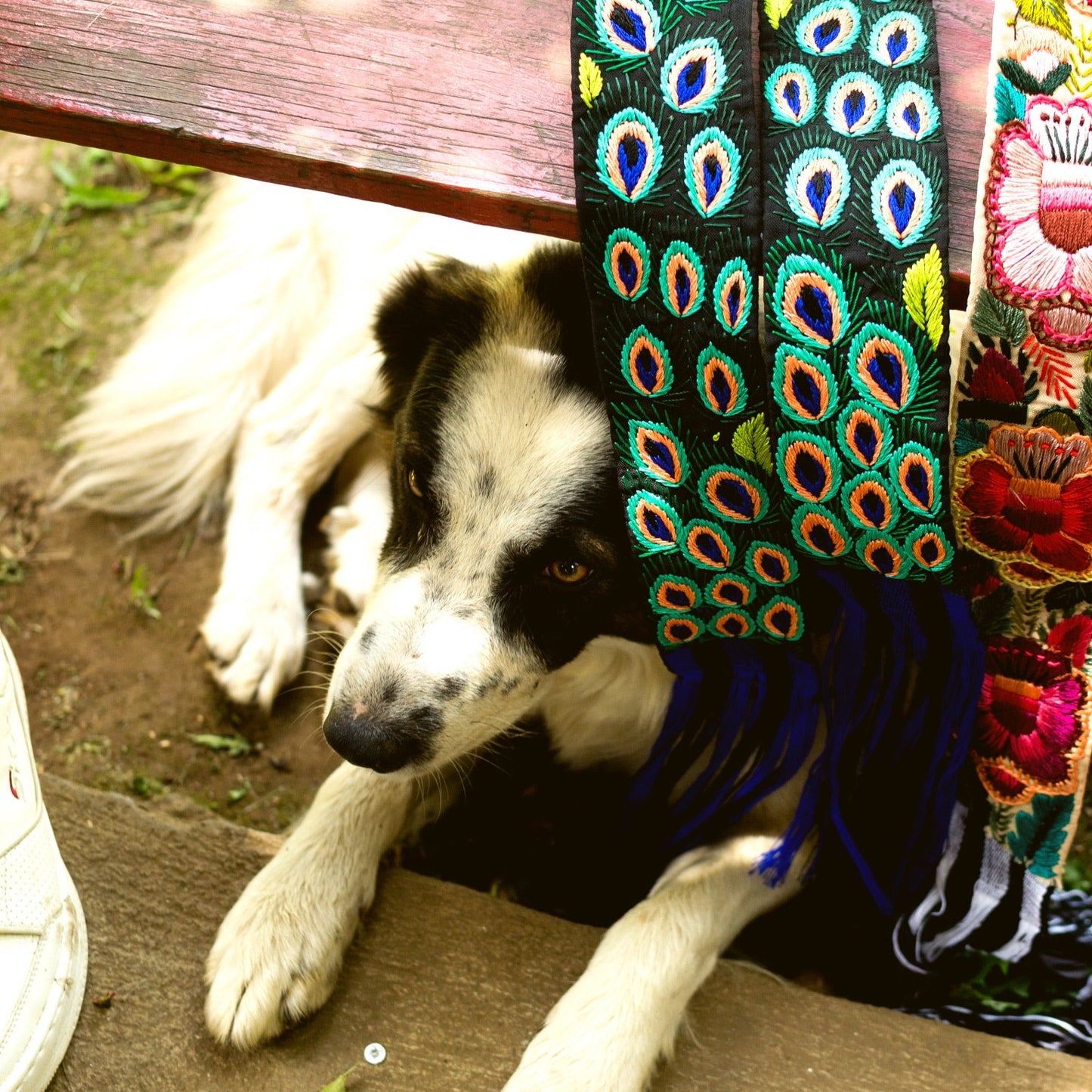 Dog wearing a colorful peacock-patterned scarf on a wooden surface