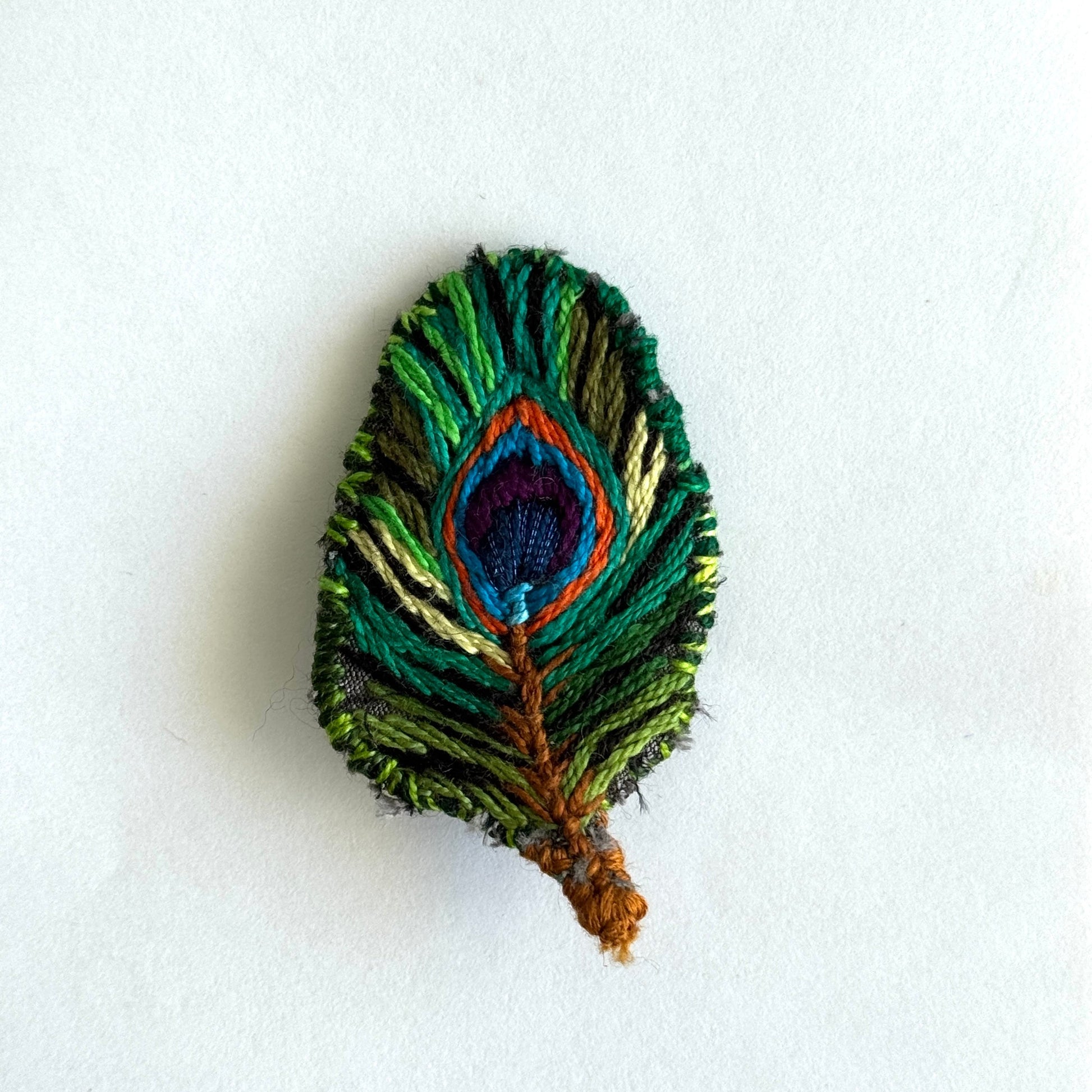 Peacock feather brooch on a white background