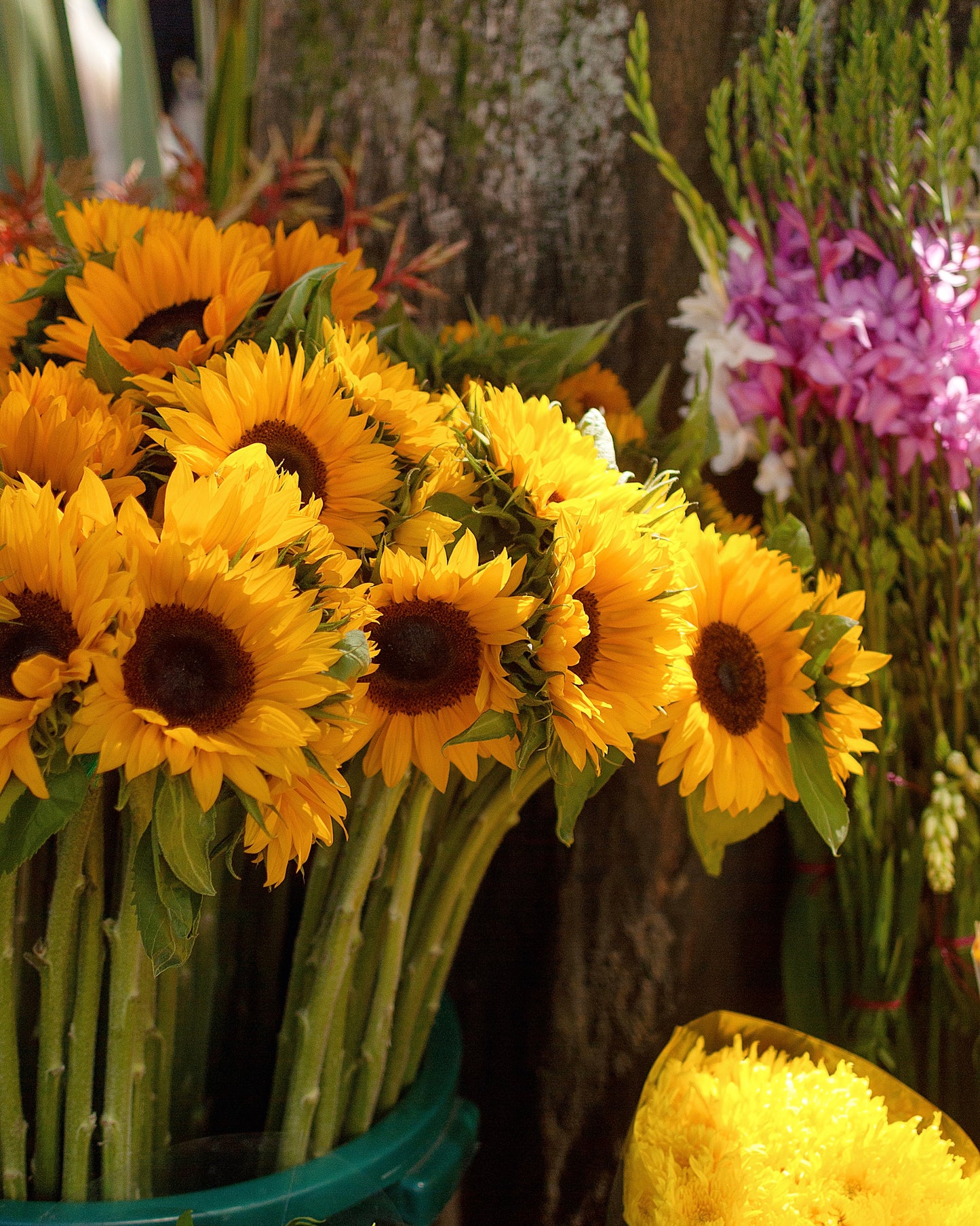 A close-up of a bouquet of bright yellow sunflowers with dark brown centers and green stems, arranged in a teal container at what appears to be an outdoor flower market.
