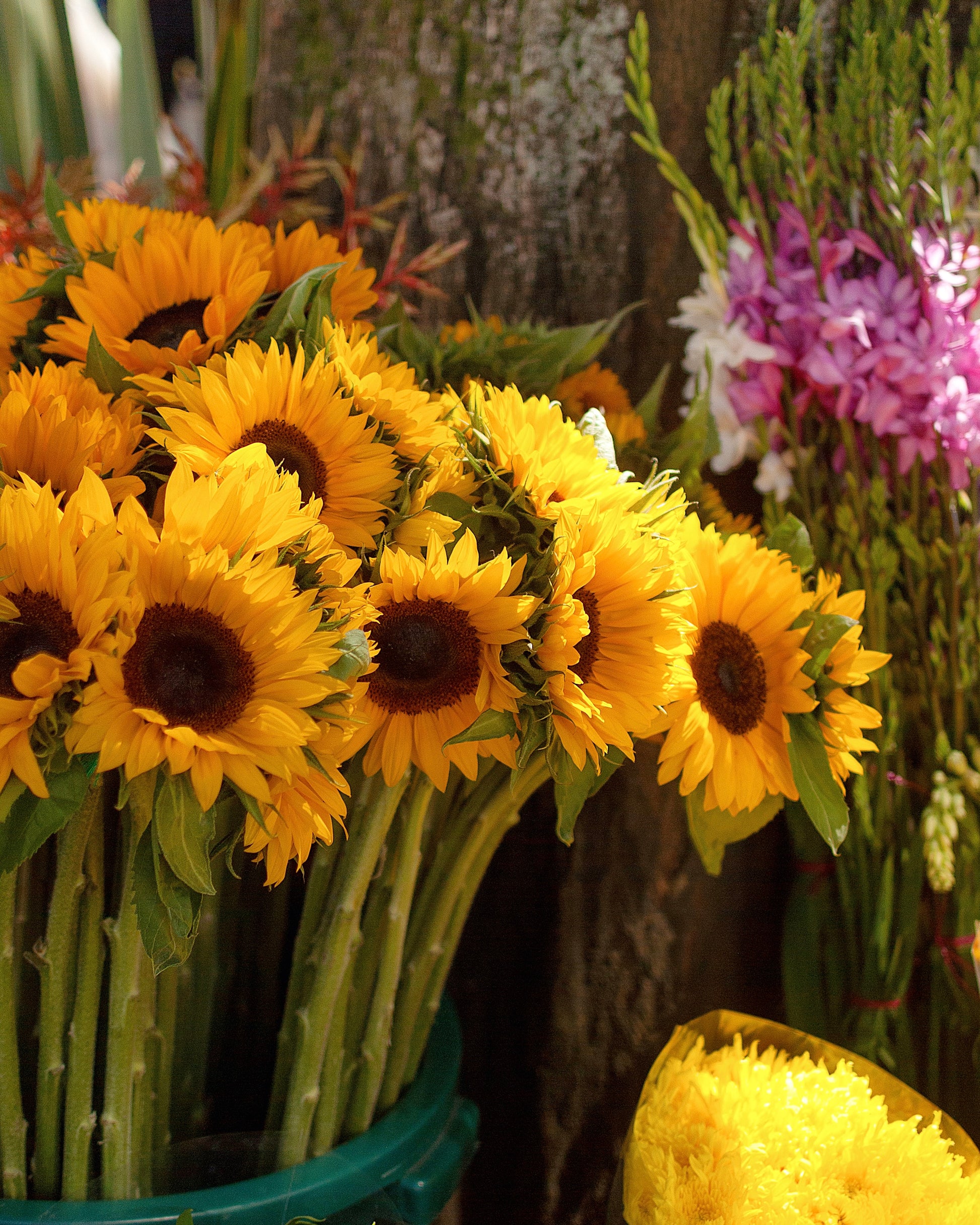 A close-up of a bouquet of bright yellow sunflowers with dark brown centers and green stems, arranged in a teal container at what appears to be an outdoor flower market.
